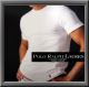 OL-835�@POLO RALPH LAUREN�@����T�V���c