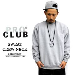 OL-317a�@PROCLUB�@�g���[�i�[ �O���[