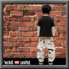 OL-018�@ECKO�@�p���c�X�[�c