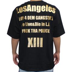 OL-2012�@LA ����T�V���c F.T.P XIII