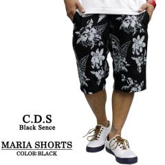 OL-3124�@C�ED�ESTRIKER�@�n�[�t�p���c