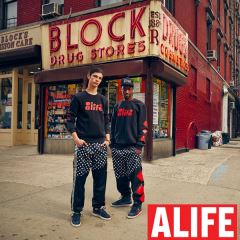 OL-3984 ALIFE / �����s�V���c