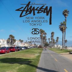 OL-4267�@STUSSY �X�e�b�J�[